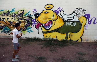 A boy walks past a mural paint in honor of Frida, the rescuer dog of the Mexican Navy's canine unit in Juarez, Chihuahua, State, Mexico on September 26, 2017. 
A week after an earthquake that killed more than 300 people, a shaken Mexico was torn Tuesday between trying to get back to normal and keeping up an increasingly hopeless search for survivors. / AFP PHOTO / HERIKA MARTINEZ        (Photo credit should read HERIKA MARTINEZ/AFP via Getty Images)