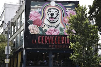VIew of a large mural paint (R) in honor to Frida, the Mexican Navy's rescue dog in Mexico City on October 10, 2017, three weeks after the earthquake that killed more than 300 people.  / AFP PHOTO / ALFREDO ESTRELLA (Photo credit should read ALFREDO ESTRELLA/AFP via Getty Images)
