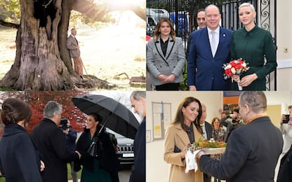 Famiglie reali, le news: dal Remembrance Day al principe William. FOTO