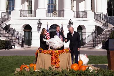 Usa, Biden "grazia" i tacchini Chocolate e Chip per il Thanksgiving