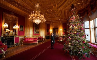 15 royal_families_news_windsor_christmas_tree_ipa - 1