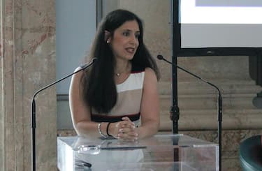 Susanna Schlein, Έλληνες αναρχικοί αναλαμβάνουν την ευθύνη για την επίθεση στο αυτοκίνητο του διπλωμάτη
