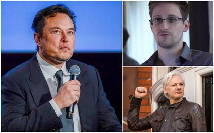 Elon Musk, sondaggio su Twitter: “Assange e Snowden vanno graziati?”