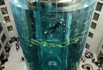 BERLIN - MARCH 22:  A diver cleans the glass of a giant, cylindrical aquarium as fish swim by at the AquaDom on March 22, 2010 in Berlin, Germany. The 25 meters tall aquarium, which contains approximately 1,500 fish from 50 different species, stands in the lobby of the SAS Radission Hotel and is part of the SeaLife Berlin underwater attraction.  (Photo by Sean Gallup/Getty Images)