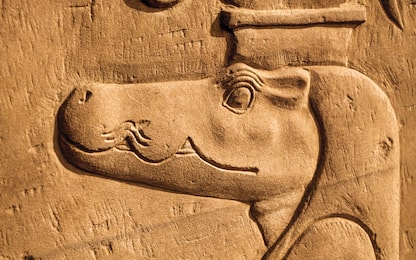 Egitto, scoperte 9 misteriose teste di coccodrillo in due tombe