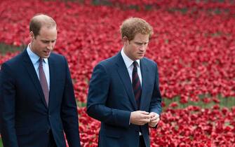 epa08116537 (FILE) - Britain's Prince William, Duke of Cambridge (L) and Prince Harry, Duke of Sussex, (R) walk through a sea of red poppies inside the moat at the Tower of London in London, Britain, 05 August 2014 (reissued 10 January 2020). Britain's Prince Harry and his wife Meghan have announced in a statement on 08 January that they will step back as 'senior' royal family members and work to become financially independent.  EPA/WILL OLIVER *** Local Caption *** 54290092