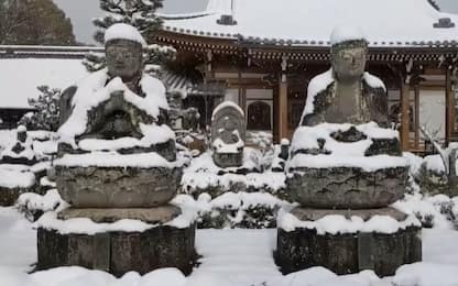 Giappone, nevicata da record ricopre i templi di Kyoto. VIDEO