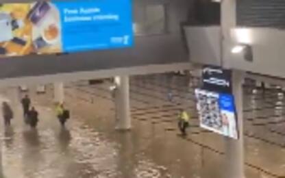 Nuova Zelanda, alluvioni ad Auckland. Almeno quattro morti