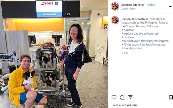 Airline loses 4 dogs of a passenger, he collapses on the ground in despair
