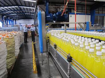 OAXACA, MEXICO--OCTOBER 24, 2013: 
Pineapple sodas are produced in the Oaxaca factory of Gugar Soda.