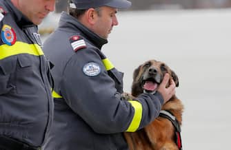 epa10451077 A Romanian rescue worker (C) and his special trained rescue dog (R) attend a last briefing before being deployed to Southern Turkey to help local authorities in their rescue missions after the devastating earthquake that hit Turkey and Syria, at the military airbase no. 90, in Otopeni, near Bucharest, Romania, 06 February 2023. Two Romanian military aircraft will take 58 rescuers and 4 specialized dogs to Turkey, as well as the materials necessary for their mission, which will support the efforts of the Turkish authorities to search for survivors in the areas affected by the latest earthquakes. According to the US Geological Service, an earthquake with a preliminary magnitude of 7.8 struck southern Turkey close to the Syrian border. The earthquake caused buildings to collapse and sent shockwaves over northwest Syria, Cyprus, and Lebanon.  EPA/ROBERT GHEMENT