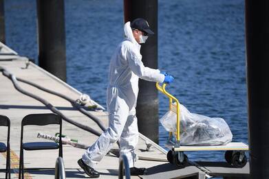 Nuova Zelanda, bloccate 3,2 tonnellate cocaina in acque Pacifico