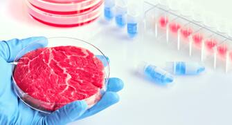 Hand in glove hold meat sample in plastic cell culture dish. Clean cell-based meat. Panoramic composition, concept shot in white, blue, red. Muscle an