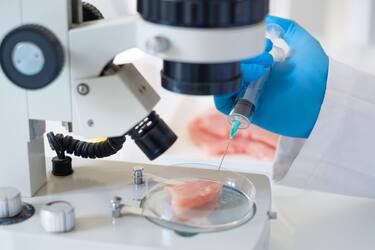 Researcher studying sample of artificial meat in modern laboratory