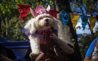 1247319155 Portrait of the participant elected as the queen of a costume parade during carnival in Caracas, Venezuela on February 19, 2023. (Photo by Javier Campos/NurPhoto via Getty Images)