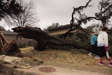 A large oak tree lies in the yard of a home following a winter storm in Austin, Texas, US, on Friday, Feb 3, 2023. Across Texas more than 240, 000 were without power on Friday morning after an ice storm swept through the region on Monday, according to PowerOutage.us. Photographer: Jordan Vonderhaar/Bloomberg via Getty Images