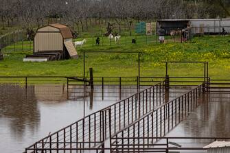 PORTERVILLE, CA - MARCH 10: A flooded farm is seen on March 10, 2023 near Porterville, California. Another in a series of atmospheric river storms from the Pacific Ocean has brought a warm rain to the region, which is falling on top of, and melting, large areas of snow in the Sierra Nevada Mountains, increasing the risk of floods at lower elevations. This years destructive and deadly storms have produced heavy rains and a near-record snowpack in the Sierras, which provides water for millions of Californians. As a result of one of Californias wettest winters on record, most of the state has gotten relief from years of drought. (Photo by David McNew/Getty Images)
