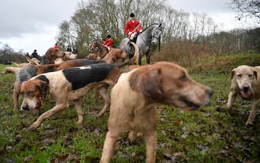epaselect epa08090841 Participants in the Old Surrey and West Kent Boxing Day Hunt in Chiddingstone, Britain, 26 December 2019. Hunting with horses and hounds is a Boxing Day tradition. Since the fox hunting ban in 2004, modified hunts take place using scented trails for the animals to follow.  EPA/NEIL HALL