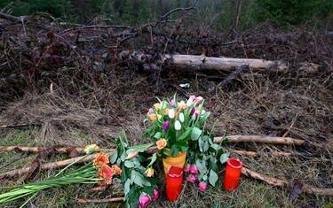14 March 2023, North Rhine-Westphalia, Freudenberg: Flowers and candles were laid at the place where the murdered girl Luise was found. The autopsy of the body revealed numerous knife wounds. The twelve-year-old girl had been found dead on Sunday near a bicycle path on Rhineland-Palatinate territory directly on the state border with North Rhine-Westphalia. The child had been reported missing on Saturday. Photo: Roberto Pfeil/dpa (Photo by Roberto Pfeil/picture alliance via Getty Images)