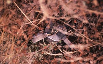 356746 04: An unexploded bomblet from an American A-10 Warthog/Thunderbolt, August 28,1999 in Djakovica, Kosovo, Yugoslavia. The western side of Djakovica is contaminated by depleted uranium that was used in ammunition to attack the Serbs. (Photo by Scott Peterson/Liaison)