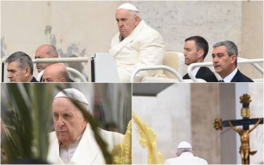 Il Papa nella Domenica delle Plame