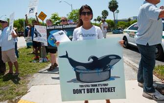 2015 May 9 Protestors line up outside the Seaquarium in the hot afternoon sun supporting Lolita the Whale who lives at the Seaquarium. The size of Lolita's tank (which is below national standards), her lack of protection from the hot sun and her total isolation from other orcas led the Animal Legal Defense Fund, PETA, Orca Network and private citizens to file a lawsuit against the USDA as per Miami New Times (Photo by Michele Eve Sandberg/Corbis via Getty Images)
