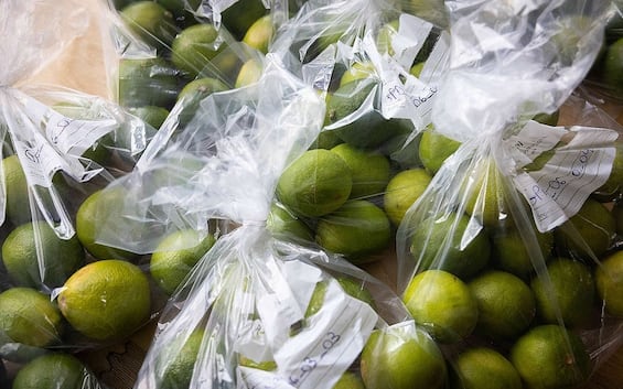 Greenpeace denounces the presence of pesticides in Brazilian limes sold in Europe