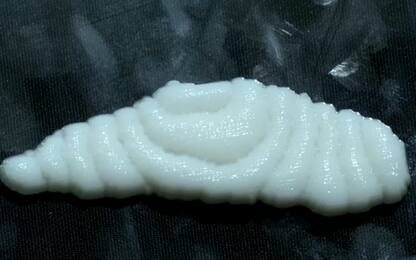 Dopo la carne sintetica, arriva il filetto di pesce stampato in 3D