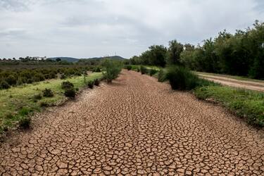 FUENTE DE PIEDRA, SPAIN - APRIL 28: Dry stream, next to the Laguna de Fuente de Piedra also dry and covered with salt due to the drought on April 28, 2023 in Fuente de Piedra, Spain. Due to the lack of rainfall and the high temperatures caused by the unusual heat wave in April, the Fuente de Piedra Lagoon, the most important wetland in the province of Malaga, has dried up. That is why this year the flamingos have not nested in this area, and where there should be approximately 8,000 flamingos, only 100 remain in a puddle of water emanating from a treatment plant (Photo by Carlos Gil/Getty Images)
