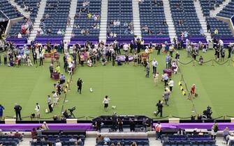 epa10615937 Dogs and their owners during judging at the 147th annual Westminster Kennel Club Dog Show at the USTA Billie Jean King National Tennis Center in Flushing Meadows in the Queens borough of New York, New York, USA, 08 May 2023. EPA/JUSTIN LANE