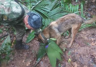 Colombia, nessuna traccia dei 4 bambini spariti dopo incidente aereo 