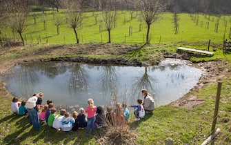 School children with teachers looking at frogspawn in old watering place for cattle, habitat for amphibians like frogs and toads