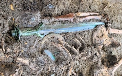 Germania, scoperta una luccicante spada di bronzo di 3.500 anni fa