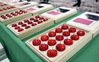 Giappone, 15 ciliegie pregiate vendute all'asta per 3.200 euro