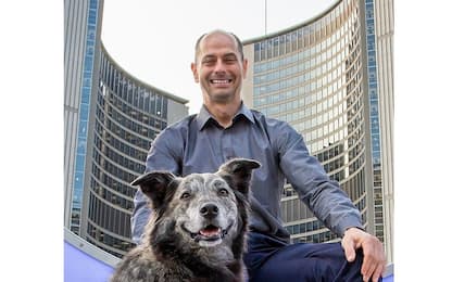 Elezioni a Toronto, anche il cane Molly tra i 102 candidati sindaco