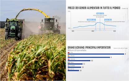 Ucraina-Russia, si cerca nuovo accordo sul grano. I dati