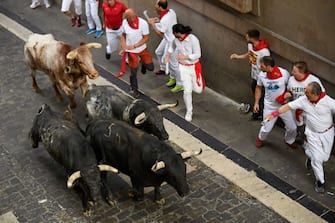 Participants run ahead of bulls during the "encierro" (bull-run) of the San Fermin festival in Pamplona, northern Spain, on July 9, 2023. Thousands of people every year attend the week-long festival and its famous 'encierros': six bulls are released at 8:00 a.m. evey day to run from their corral to the bullring through the narrow streets of the old town over an 850 meters (yard) course while runners ahead of them try to stay close to the bulls without falling over or being gored. (Photo by MIGUEL RIOPA / AFP) (Photo by MIGUEL RIOPA/AFP via Getty Images)