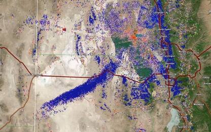 Usa, nello Utah devastante invasione di cavallette rilevata dai radar