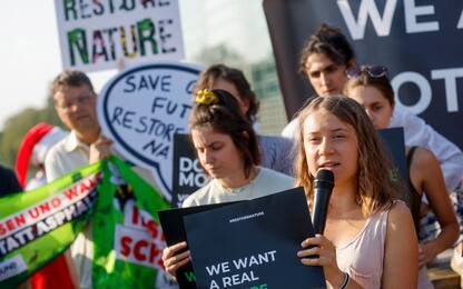 Greta Thunberg a Strasburgo, domani voto su legge "ripristino Natura"