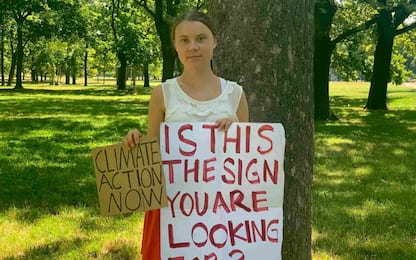 Greta Thunberg compie 21 anni: di cosa si occupa oggi l'attivista