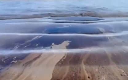 Ecuador, petrolio in mare e sulla spiaggia: disastro ambientale. VIDEO