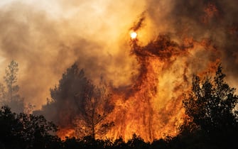 (230721) -- ATHENS, July 21, 2023 (Xinhua) -- A wildfire burns trees in Agia Sotira, a western suburb of Athens, Greece, on July 20, 2023. For the fourth consecutive day, the wildfires continue to ravage houses and forests in the western part of Athens. (Photo by Lefteris Partsalis/Xinhua) - Lefteris Partsalis -//CHINENOUVELLE_CHINENOUVELLE0131/Credit:CHINE NOUVELLE/SIPA/2307221126