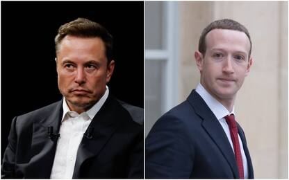 Sfida tra Musk e Zuckerberg in Italia, ecco le possibili "arene"