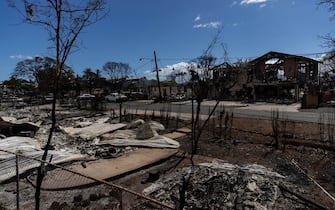 epa10802240 Burned out cars and houses are all that remains after a wildfire swept through a neighborhood in Lahaina, Hawaii, USA, 15 August 2023. At least 99 people were killed in the Lahaina wildfire that burnt in Maui, which is considered the largest natural disaster in Hawaii's state history.  EPA/ETIENNE LAURENT