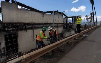 epa10802239 Workers install a fence around some of the burn areas in Lahaina, Hawaii, USA, 15 August 2023. At least 99 people were killed in the Lahaina wildfire that burnt in Maui, which is considered the largest natural disaster in Hawaii's state history.  EPA/ETIENNE LAURENT