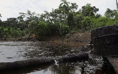 Petrolio, l'Ecuador ferma le trivelle in Amazzonia con un referendum