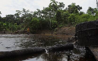 Petrolio, l'Ecuador ferma le trivelle in Amazzonia con un referendum