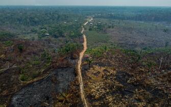 Fires in Brazil, Amazonas state declares environmental emergency