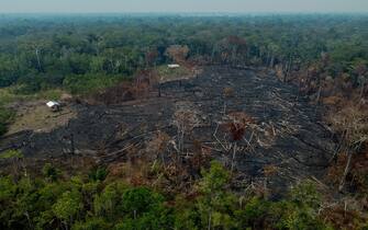 Burnt trees are seen after illegal fires were lit by farmers in Manaquiri, Amazonas state, on September 6, 2023. From September 2, 2023 to September 6, 2023, 2,500 forest fires in Amazon state alone were recorded by INPE, Brazil's National Institute for Space Research.  (Photo by MICHAEL DANTAS / AFP) (Photo by MICHAEL DANTAS/AFP via Getty Images)
