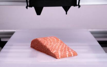 Il trancio di salmone vegano stampato in 3D arriva nei supermercati